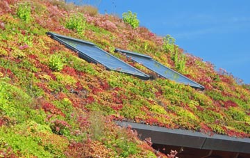 Gomeldon living roof systems