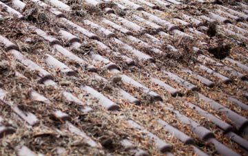 Gomeldon roof cleaning companies